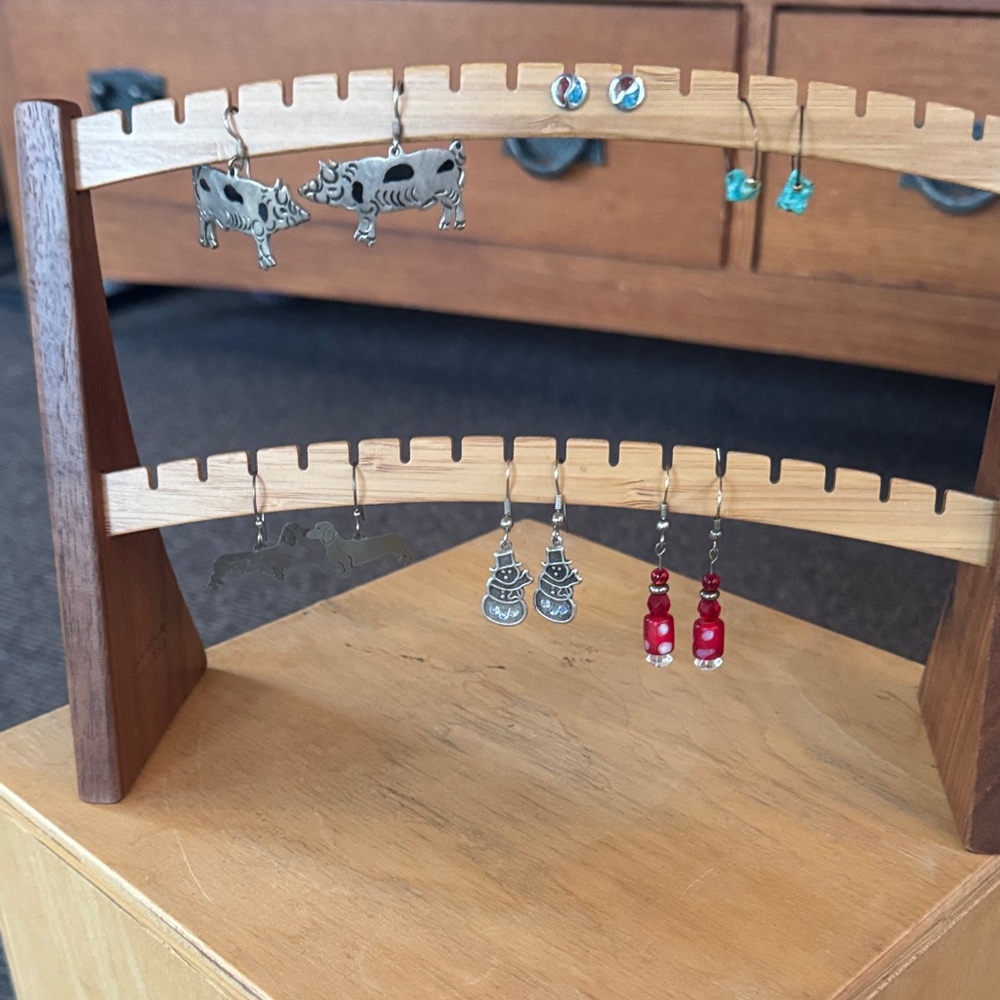 Assorted Earrings #22